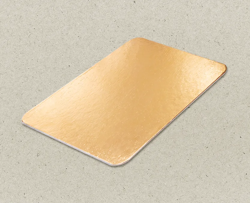 Salmon Board